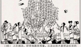 蚕的漫画,从卵到丝的奇幻之旅